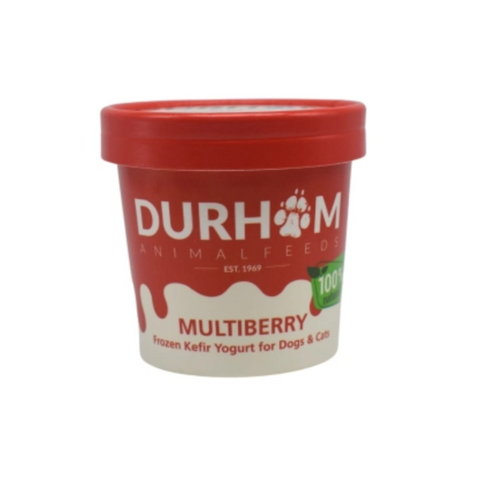 DAF Kefir Yoghurt for dogs in Wiltshire