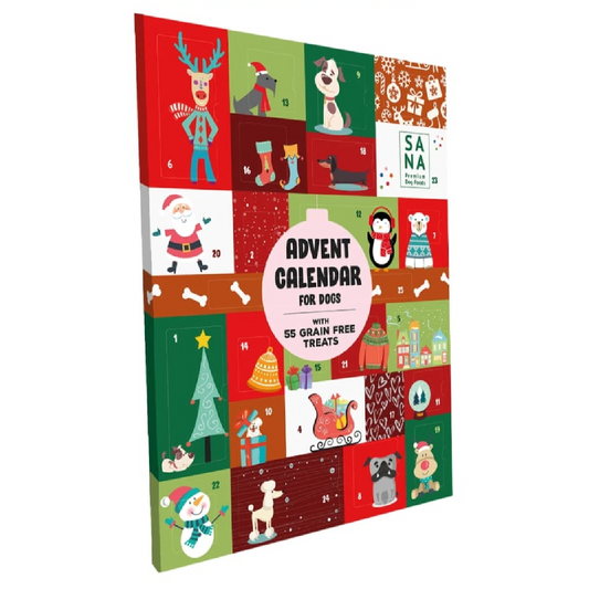 XL Advent calendar for dogs in Wiltshire