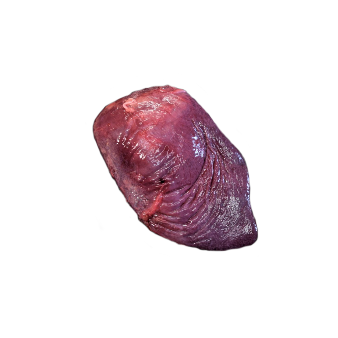 Frozen Lamb Spleen 500g