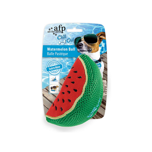 Chill Out Watermelon Slice